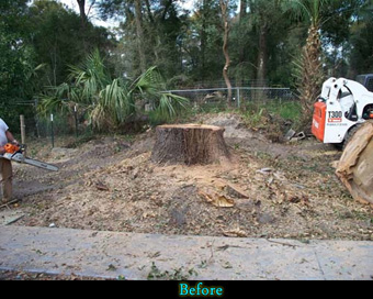 COMLY’S STUMP GRINDING; before and after photos